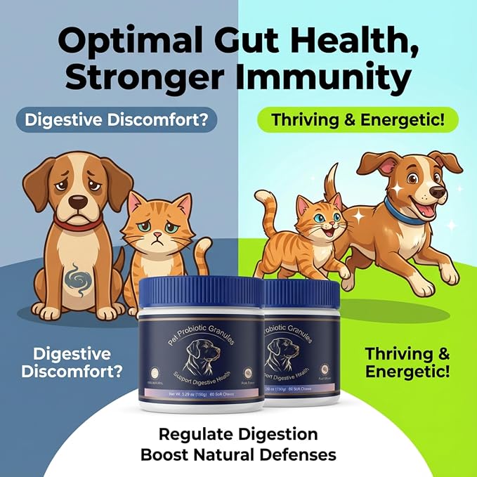Probiotics for Dogs, Support Gut Health, Occasional Diarrhea, Digestive Health & Seasonal Allergies, Pork Flavor, 60 Soft Chews (Value 2‑Pack)