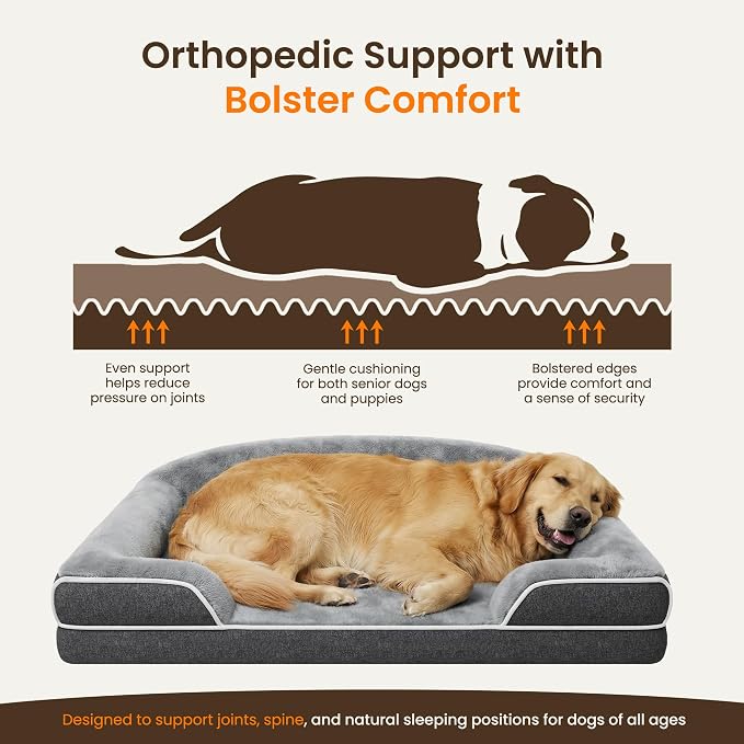 Orthopedic Jumbo Dog Bed for Giant Dogs, 48 x 35 Inch Waterproof Memory Foam XXL Dog Sofa Bed with Sides, Non-Slip & Washable Removable Cover, Dark Grey