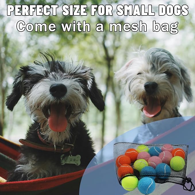 Magicorange Small Tennis Balls, 20 Pack 2 inch Tennis Balls for Dogs, Colorful Easy Catching Pet Dog Playing Ball with Mesh Bag for Easy Transport(Multicolor,20 Pack)
