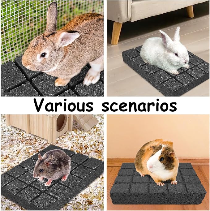 Hamiledyi Rabbit Scratch Foot Pads Bunny Grinding Claw Pad 2 PCS Natural Small Animal Hamster Lava Stone for Teeth Grinding Rabbit Scratching pad Chew Toy Rabbit Cage Mats Plastic Bunny Feet Pad Playp