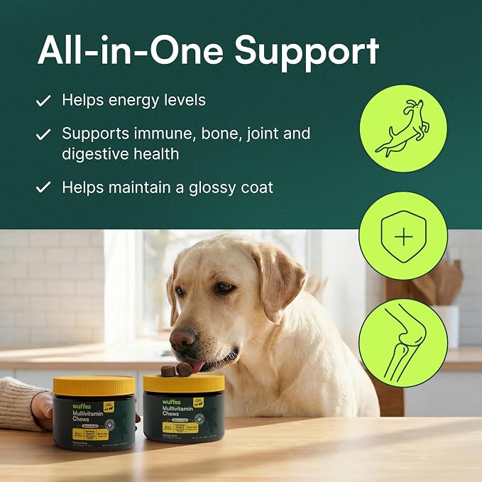 Wuffes 23-in-1 Dog Multivitamin Soft Chews Skin & Coat, Immune + Gut Health Support - Vitamins & Minerals with Omega-3, Iron & Zinc for Puppies & Senior Dogs, 60 Ct