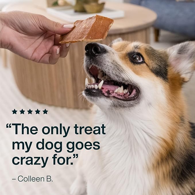 Just Food for Dogs Single Ingredient Healthy Dog Treats and Dog Snacks, Jerky Treats, Human Grade, Preservative and Grain Free, Rawhide Free Chews, Low Calorie Treat - Chicken Breast, 5 oz