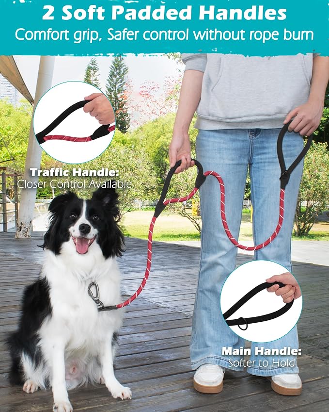 PetBonus Double Handle Rope Dog Leash and 2-Pack Large Silicone Collapsible Dog Bowls