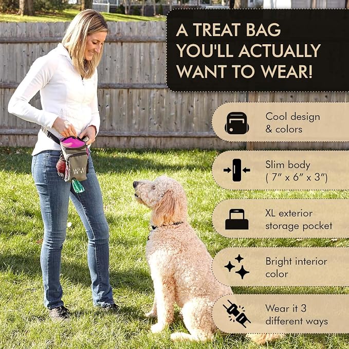 Multipurpose Pro Dog Treat Bag with Neoprene Split Top Dog Training Treat Pouch Bag with Shoulder Strap, Belt and Clip and Exterior Storage Pocket (Raspberry)