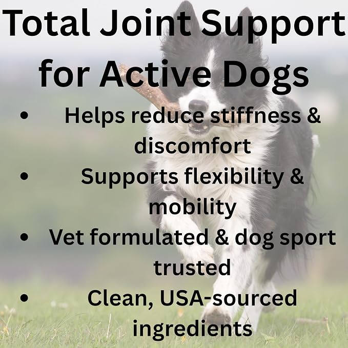 Joint Health for Dogs - Most Effective Natural Hip & Joint Supplement Available - Formulated with Veterinarians, Glucosamine, Chondrointin, MSM, Turmeric (Powder)