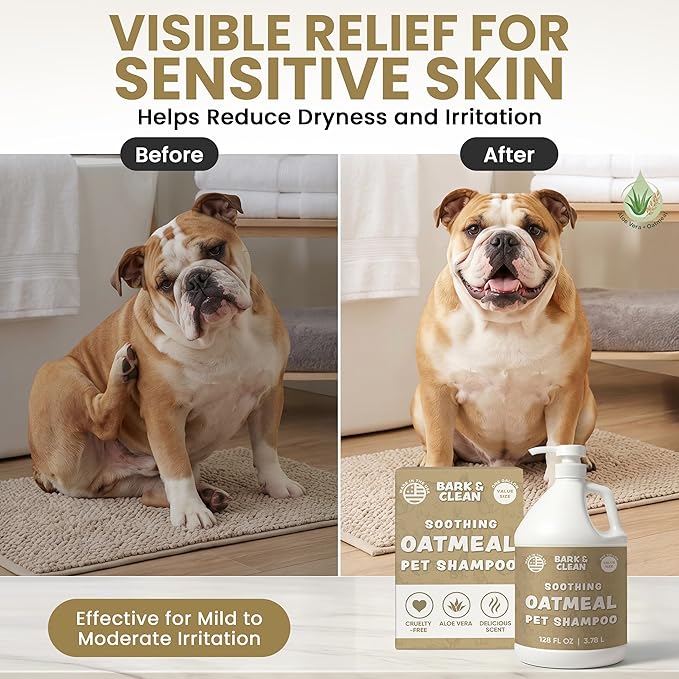 Oatmeal Dog Shampoo for Itchy Dry Skin, 1 Gallon with Pump - Hypoallergenic Anti-Itch Allergy & Sensitive Relief, Smelly Dogs, Aloe Vera Coconut Oil, Sulfate and Paraben Free, Made in USA Bark & Clean