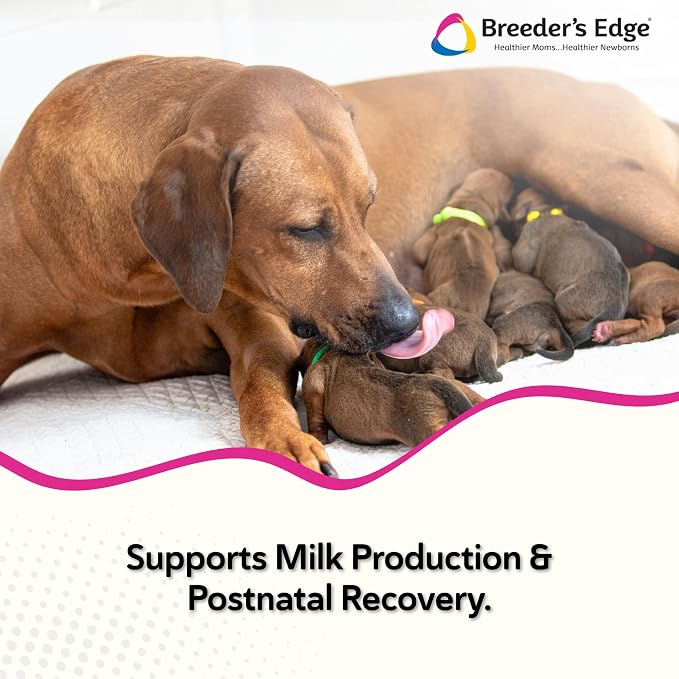 Breeder’s Edge Oral Cal Plus Powder, Calcium & Vitamin D₃ Whelping Supplement for Nursing Dogs and Cats, Supports Healthy Bones, Teeth & Lactation, 1kg