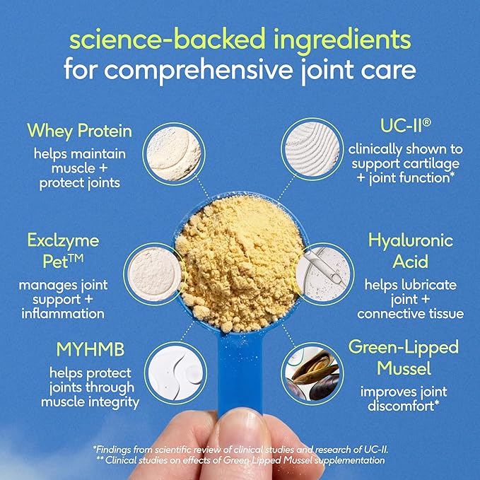 Native Pet Hip and Joint Supplement Dogs - Powder with UC-II Collagen and HMB - Senior and Large Breed Dog Joint Support - Made in USA - 30 Scoops