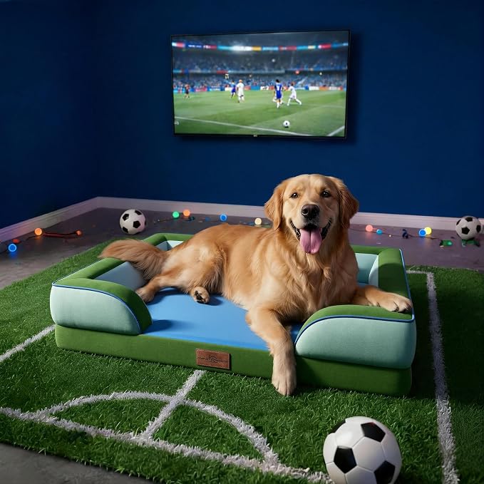 Comfort Expression Orthopedic Dog Bed for Extra Large Dogs 42x30 Inch, Waterproof Egg Crate Foam XL Pet Bed with Bolsters, Dog Couch with Washable Cover & Non-Slip Bottom, Boston