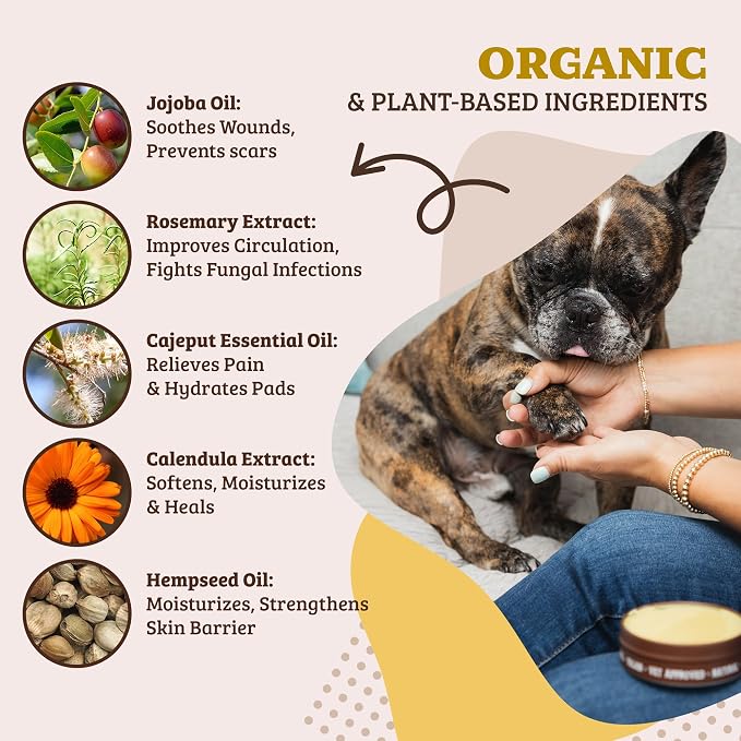 Natural Dog Company Paw Soother Dog Paw Balm – Moisturizes Dry Cracked Paws After Walks, Hot Pavement, Beach Sand, Hiking & Outdoor Play with Coconut Oil & Calendula, Daily Paw Care, 1 oz Tin