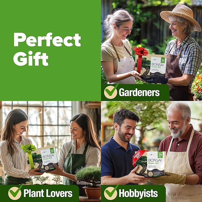 HOME GROWN 𝗨𝗦𝗔 𝗣𝗥𝗘𝗠𝗜𝗨𝗠 1 Pound Cat Grass Seeds for Cat & Kittens Oat & Barley Mix &HOME GROWN 𝗨𝗦𝗔 Bonsai Tree Kit – 6 Heirloom Varieties with Unique Pots