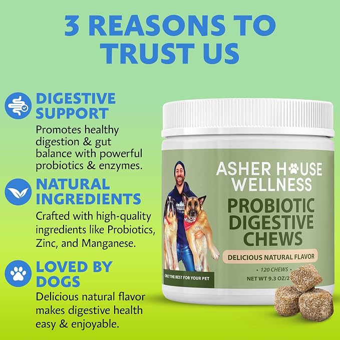 Asher House Wellness Probiotics Digestive Chew for Dogs - Now Lillie & Lee - Probiotic, Digestive Enzymes for Gut Health & Digestion - Pet Chews for Diarrhea, Upset Stomach - 120 Chews