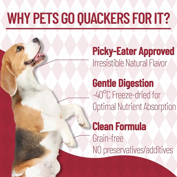 Just Try 8.82 oz Freeze-Dried Beef Liver for Dogs – Single Ingredient Dog Treats, High Protein, Grain-Free, Rich in Iron & Vitamin A,Healthy Training Treats
