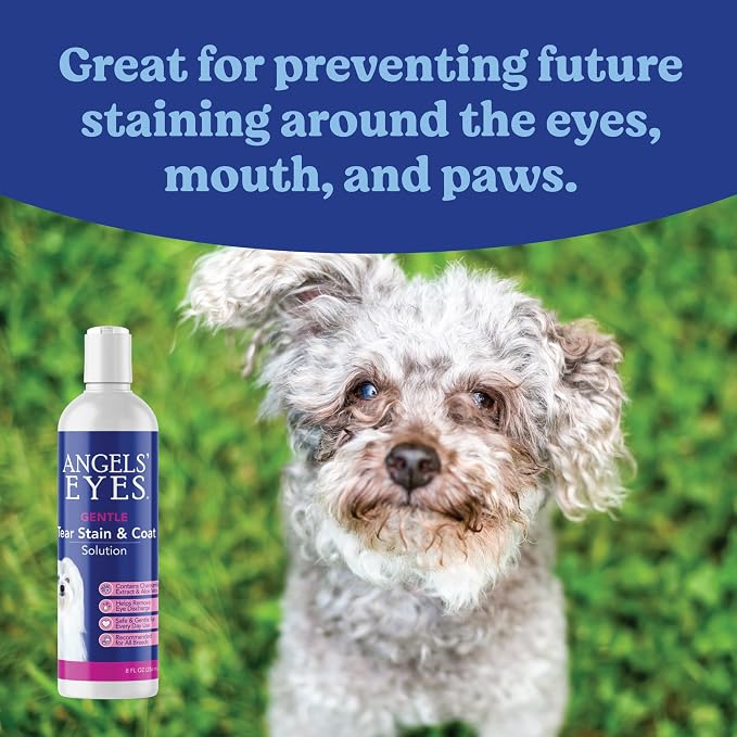 Angels' Eyes Tear Stain Solution 8oz Dog