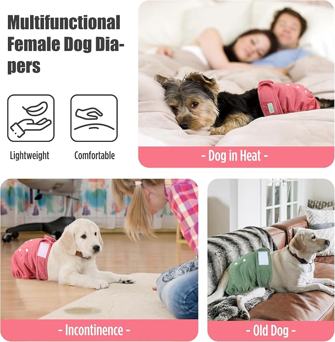 wegreeco Female Dog Diapers, Washable Reusable Pet Puppy Doggie Diapers for Small Medium Large Female Dogs in Heat Period, Doggy Period Panties, 5 Pack, X-Large