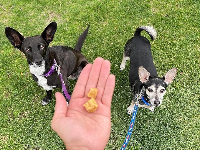 Redbarn-All-Natural Air-Dried Training Treats for Puppies and Dogs - Delicious Beef & Chicken Flavors - Grain-Free Single Protein Rewards for Small, Medium, & Large Breeds (8oz Each, 4 Bags Total)