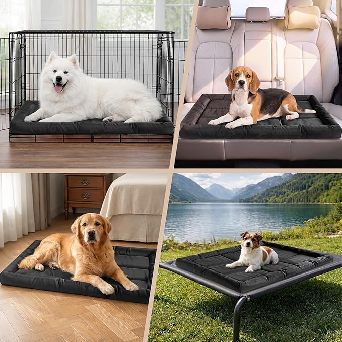 Chew Resistant Dog Bed for Aggressive Chewers, Indestructible Orthopedic Dog Bed with 3" High Density Foam Base & Plush Bolster Sides, Durable Pet Bed with Waterproof Washable Cover, Large (28"x41")