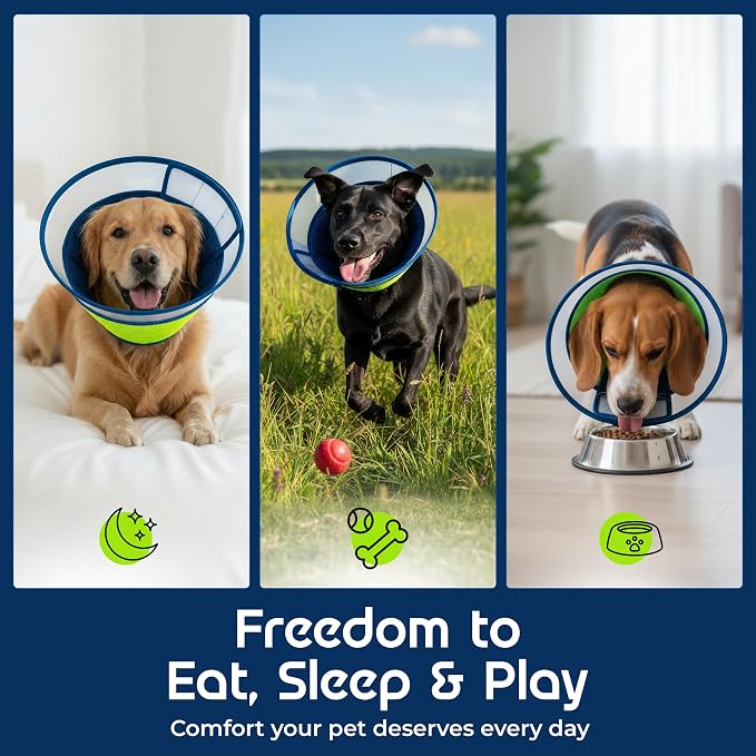 Premier Web Products Soft Dog Cone Collar To Stop Licking - Large Dog Cone, Adjustable and Reversible Design, Non-Woven Breathable Fabric, Elizabethan Recovery Collar after Surgery for Cat, Blue