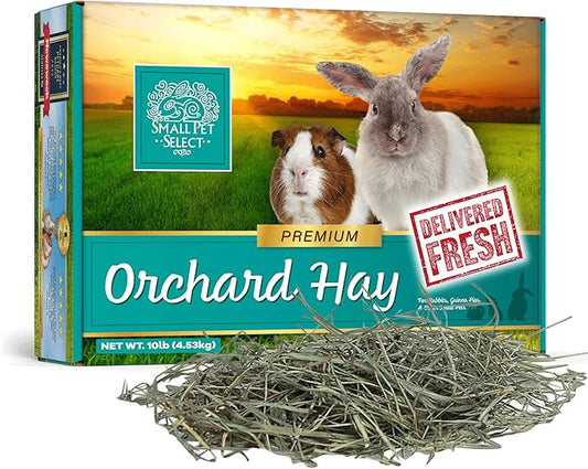 Small Pet Select Orchard Grass Hay Pet Food for Rabbits, Guinea Pigs, Chinchillas and Other Small Animals, Premium Natural Hay Grown in the US, 10 LB