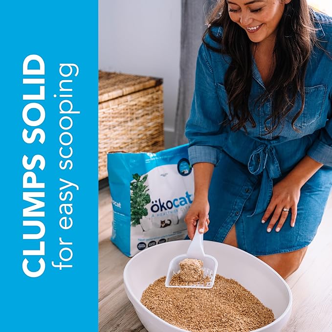 ökocat Original Wood Clumping Cat Litter, Unscented, 12.6 Pounds - Natural Ingredients, Stops Odor, Clumps Solid, 99% Dust Free, Lightweight Litter, Great for All Cats