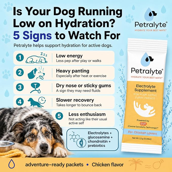Petralyte Dog Electrolytes and Joint Supplement | Hydration Support for Dogs w/Glucosamine, Chondroitin & More | Electrolytes for Dogs with Prebiotics | for Chicken Lovers | 32 Packets