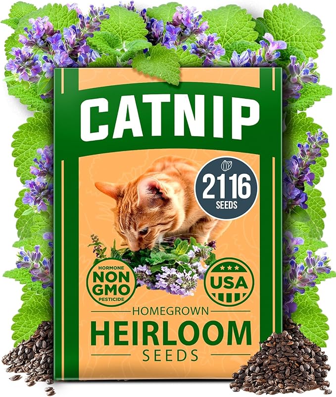 Cat Grass & Catnip Garden Kit – 1 lb Non-GMO USA Wheatgrass + 2,160 Cat Plant Seeds Mix (Catnip, Lemongrass, Licorice, Thyme, Valerian) + 2,116 Catnip Seeds – Pet-Friendly Indoor Garden for Cats