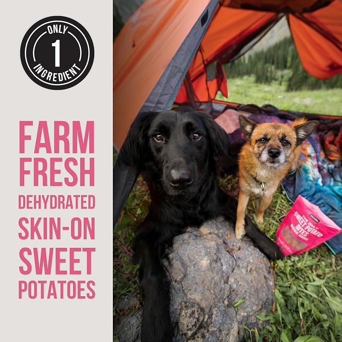 Natural Rapport Dehydrated Sweet Potato Bites Dog Treats - Single Ingredient, Grain-Free, High Fiber Healthy Snack (8 oz)