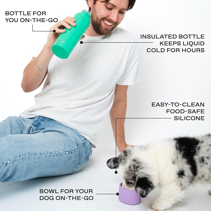 Springer Dog and Me 24oz Stainless Steel Insulated Water Bottle - Cold for 12+ Hours – Portable Dog Water Bottle with Integrated Travel Water Bowl for Dogs, Portable Dog Water Bottle – Lilac/Green