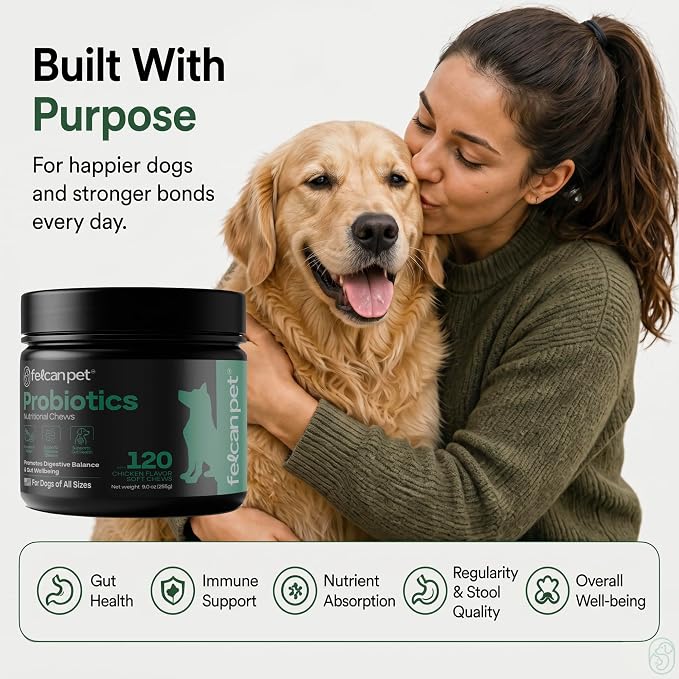 Probiotics For Dogs Soft Chews With Pumpkin, Papaya & Prebiotic Inulin – Dog Probiotic With 6-Strain Blend – Supports Dog Digestive Balance – Gut Health For Dogs – Chicken Flavor, 120 Chews