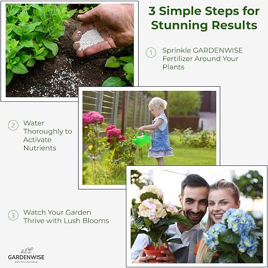 GARDENWISE Slow Release Hydrangea Fertilizer with Iron & Sulfur – Indoor & Outdoor Soil Acidifier for Miracle Growth (1 qt)