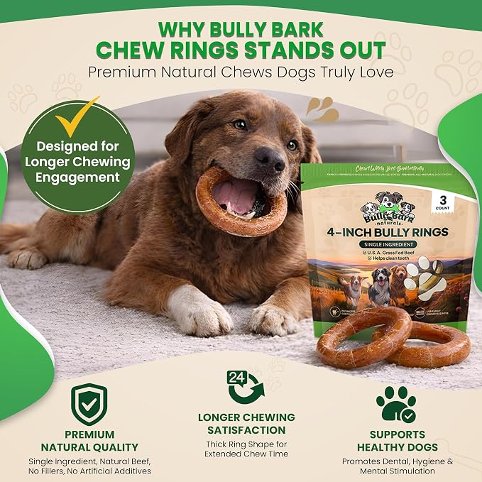 Odor Free 4” Bully Stick Rings for Dogs - 3 Count - 100% Natural Grass-Fed Beef Pizzle Rings, High Protein, Fully Digestible Rawhide-Free Thick Chews, Long Lasting Bully Rings