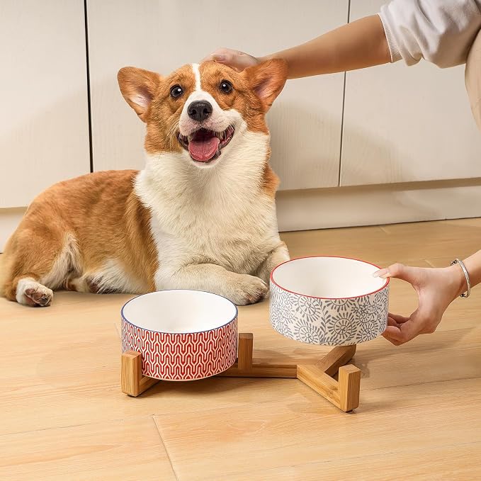Selamica Ceramic 14 oz Dog Bowls - Anti-Slip Pet Dishes Set with Wooden Stand for Cats & Small Dogs, Weighted, Assorted Colors, Food & Water Dishes