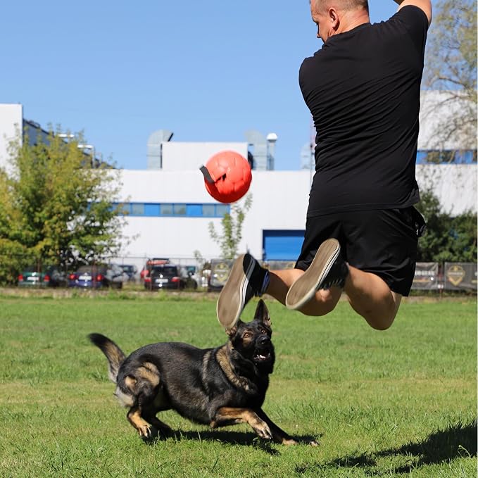 DINGO GEAR WWW.DINGOGEAR.COM 1977 Faux Leather Ball for Dog Training, as Reward for Fetch tug of war, for Strong Dog, Handmade, 7in Orange S02698