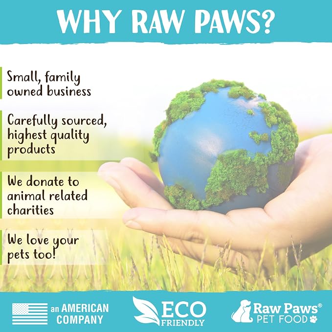 Raw Paws Himalayan Yak Chews for Dogs, Large (10 Pack) - Packed in USA - Tibetan Yak Cheese Dog Chews for Medium to Large Breeds - Hard Milk Dog Chew Bones - Single Ingredient - Long Lasting