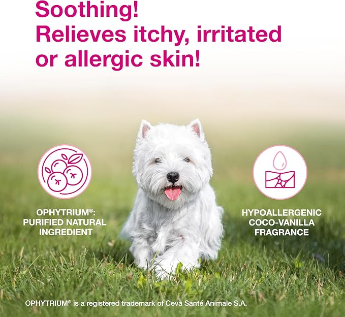 Douxo S3 Calm Dog Shampoo for Itchy Skin Relief, Dog Shampoo for Allergies and Itching, Soothes Itchy, Irritated or Allergic Skin For Dogs and Cats, 6.7 fl oz