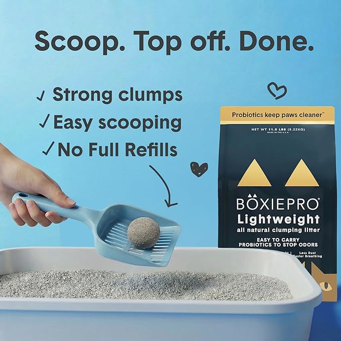Boxie Probiotic Lightweight Cat Litter 40 Day Odor Control, Odor Eliminating Probiotics, 99.9% Dust Free, Multi-Cat, 11.5 lb