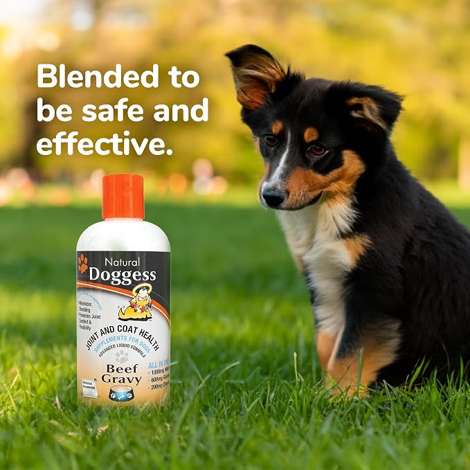 Dressing Best Hip and Joint Supplement for Dogs, Glucosamine & Chondroitin/Joint Health/Salmon Oil for Dogs Skin and Coat Health, Delicious Beef Gravy Flavor - 16 Oz Pack of 1