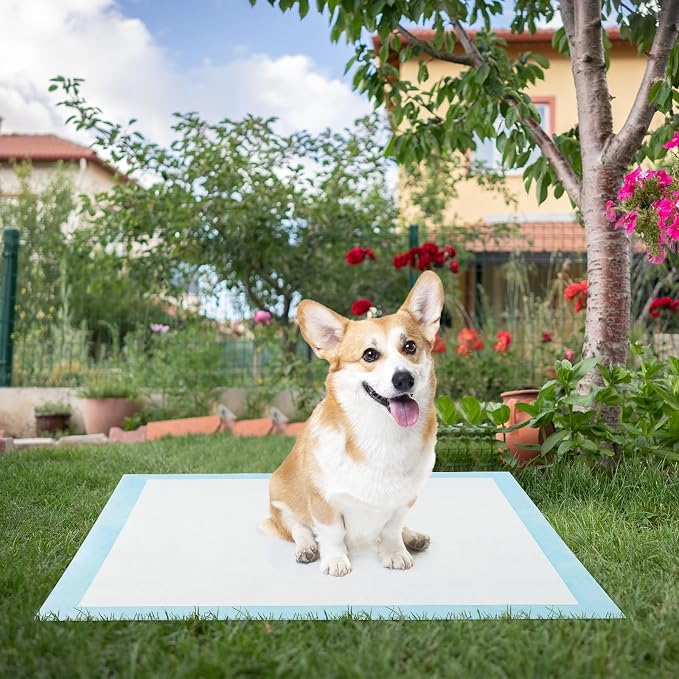 PETSITE Dog Pee Pads 36"x24"-150 Count, Dog and Puppy Potty Training Pads Super Absorbent & Leak-Proof, XL Disposable Pet Piddle Pad and Potty Pads for Dogs, Puppies, Doggie