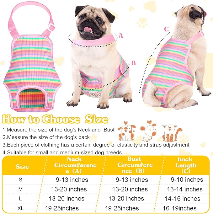 Nuanchu 3 Pcs Female Dog Diaper Sanitary Panties with Adjustable Suspender, Washable Reusable Doggie Diapers for Small Medium Large Dog in Heat Period Menstrual Pet Cats Ducks(Rainbow Pattern,M)