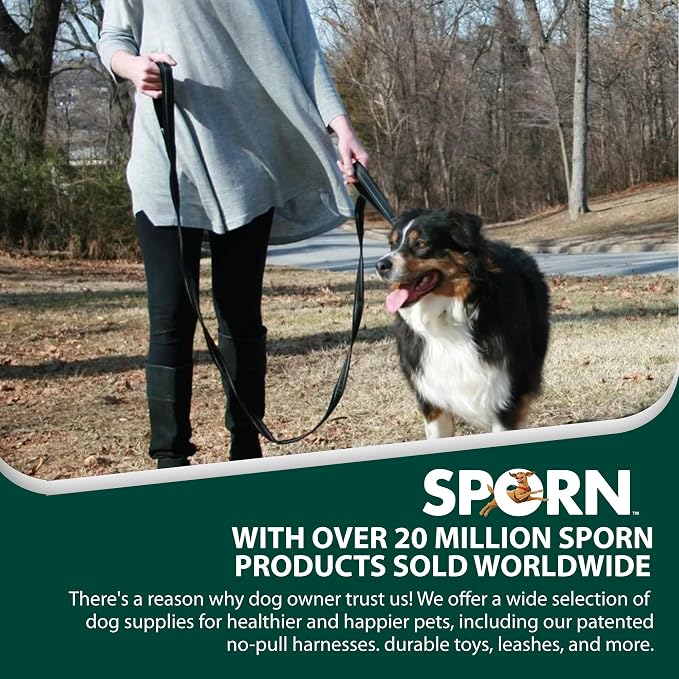 Sporn Sling-to-Belt Dog Training Treat Pouch, Breathable Double-Stiched Dog Treat Bags Training Pouch, Crossbody Dog Fanny Pack for Walking, Hiking, & Running, Supports 200+ Lbs, Black