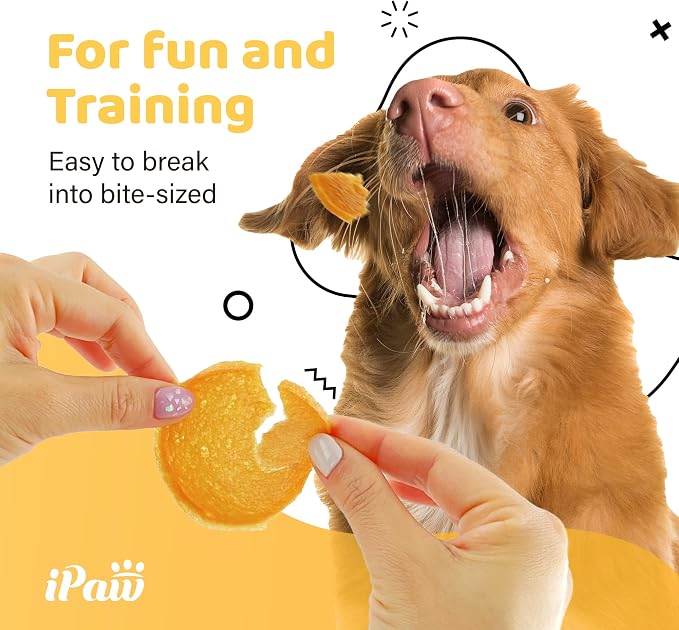 iPaw 5 Stock-Up Combo Chicken Chips Dog Treats for Puppy Training, SQF Certified Human Grade Dog Treat, Hypoallergenic, Easy to Digest (Chicken Chips), 5 Packs