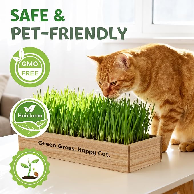 LUOJIBIE Cat Grass Kit for Indoor Cats, Cat Grass Seeds Set, Non-GMO Wheat Grass, Mothers Day Gifts for Mom, Unique Christmas Birthday Gifts for Women Men Girl, House Warming Gifts for Cat Lover