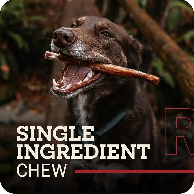 Redbarn Pet Products All-Natural 4" Bully Stick Rings for Dogs - Premium Grain-Free & Rawhide-Free Single Ingredient Long Lasting Low Odor Dental Treat for Chewers - 3 Count (Pack of 2)