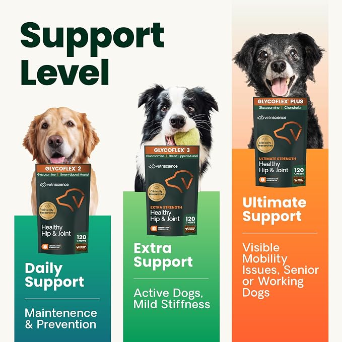 VetriScience Extra Strength Healthy Hip&Joint Chews,GlycoFlex 3,Glucosamine,Green-Lipped Mussel,Joint Support Supplement for Dogs,Promote Mobility&Soothe-Joint Discomfort,Chicken,120 Count (Pack of 2)