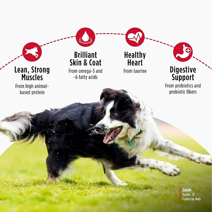 Nulo FreeStyle Limited Ingredient Dry Dog Food - High Protein Salmon Recipe, Natural Grain Free Dog Food for Puppies & Adults, Small, Medium and Large Breed Kibble, 24lb Bag