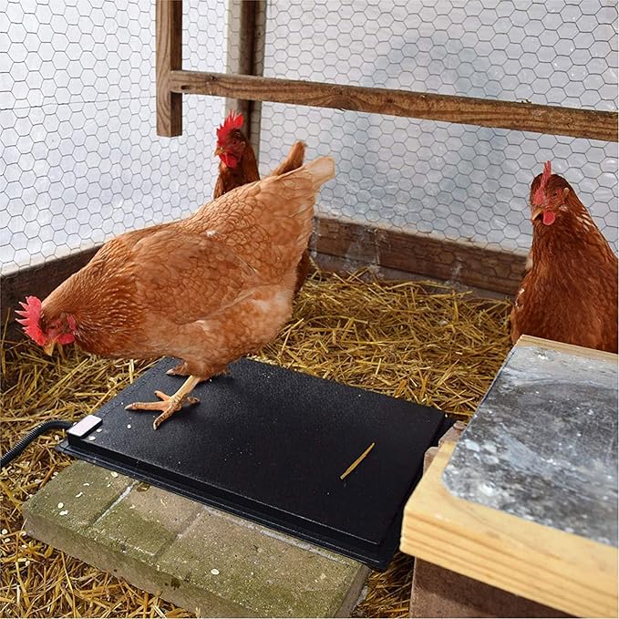 Farm Innovators HM-60P 19 x 13 Inch 60 Watt Heated Chicken Mat for Coops, Pens, and Nesting Areas