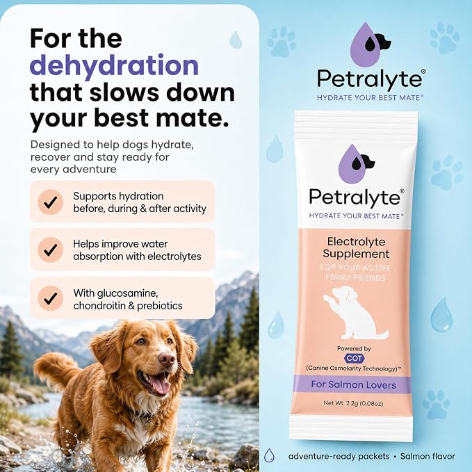 Dog Electrolytes and Joint Supplement | Glucosamine, Chondroitin & MSM for Inflammation and Mobility Support | Electrolytes for Dogs with Prebiotics | Salmon Lovers | 16 Packets