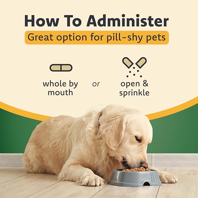 Ocu-GLO PB Vision Supplement for Medium & Large Dogs – Easy to Administer Powder Blend with Lutein, Omega-3 Fatty Acids, Grape Seed Extract & Antioxidants to Promote Eye Health, 90ct Powder Capsules