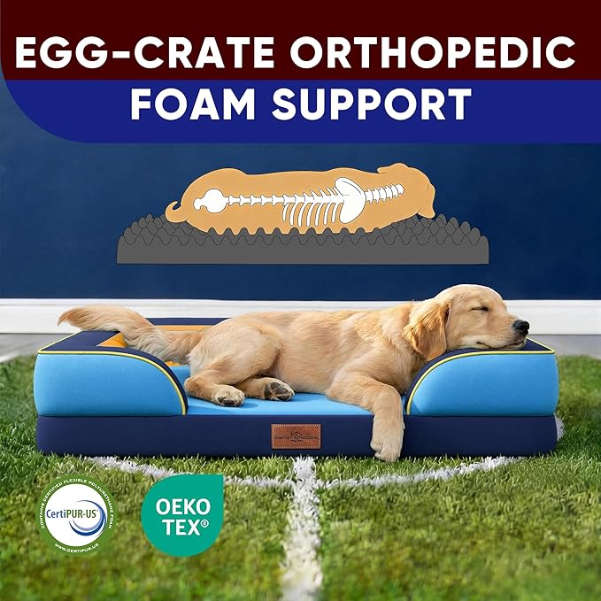 Comfort Expression Orthopedic Dog Bed for Large Dogs 36x27 Inch, Waterproof Egg Crate Foam Large Pet Bed with Bolsters, Dog Couch with Washable Cover & Non-Slip Bottom, Houston