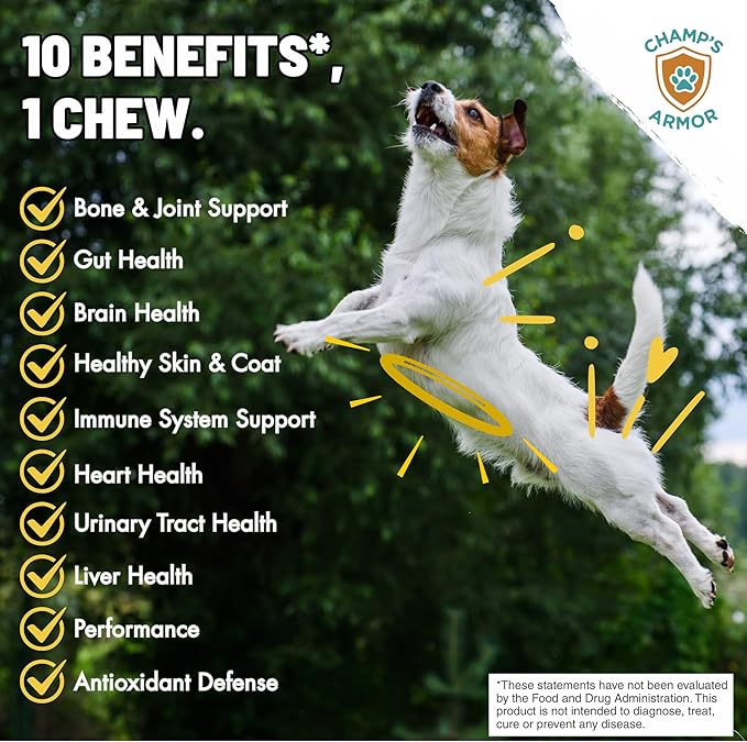 Dog Multivitamin 10-in-1 with Glucosamine - Hip Joint Support, Skin & Coat, Digestive Health, Immune Boost - Salmon Oil, Probiotics, MSM - All Natural Daily Chews for Dogs All Breeds - 120 Count